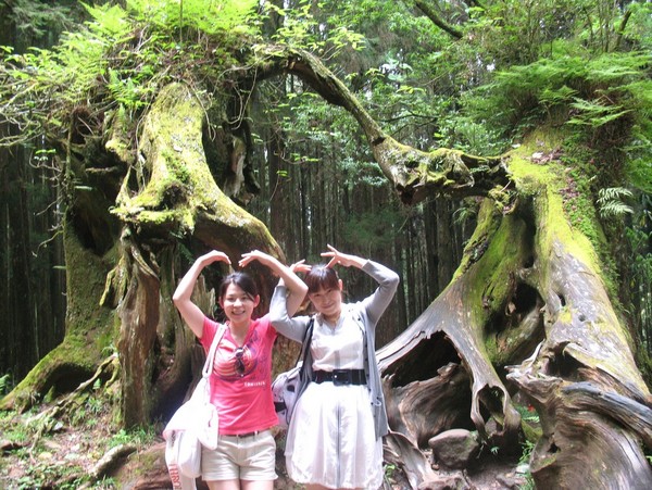 阿里山森林風景區