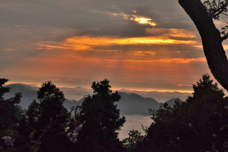 <a href='http://www.251994.com/lvyou/view/224' title='阿里山' style='color:blue;font-size:14px;'>阿里山</a> 日出