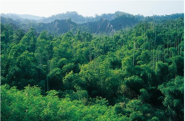 臺(tái)南西拉雅風(fēng)景區(qū)