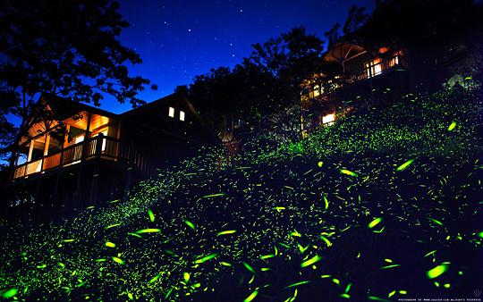 美麗夜晚瑞里風景區(qū)