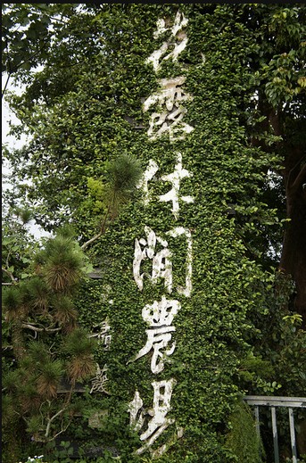 花露農場