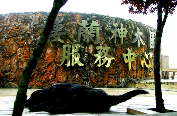<a href='http://www.251994.com/yilan/2060' title='大同' style='color:blue;font-size:14px;'>大同</a>鄉(xiāng)棲蘭森林游樂區(qū)