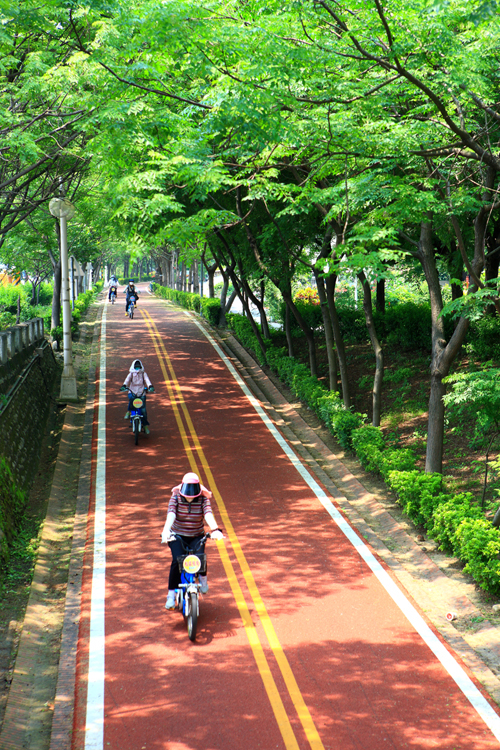 東豐自行車綠廊車道