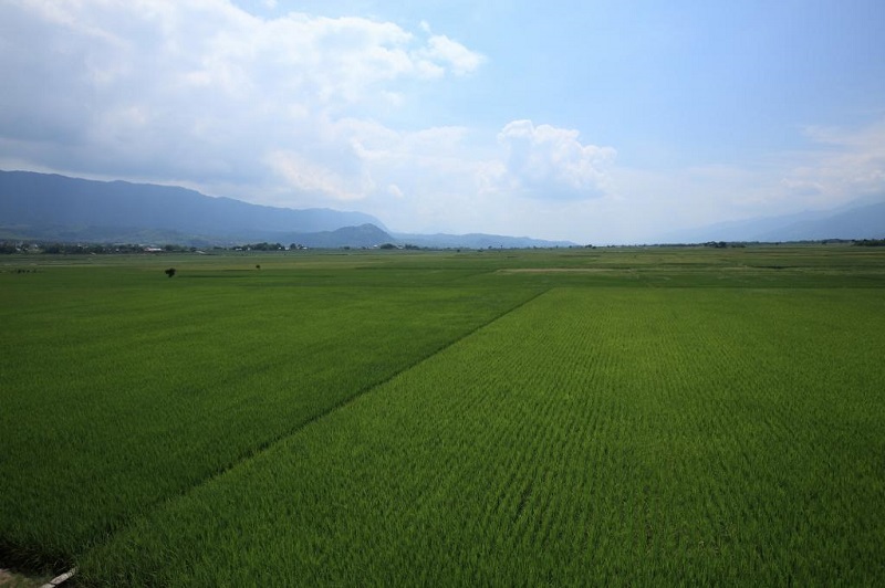 池上環(huán)圳自行車道